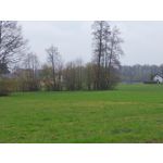 Les photos des utilisateurs Samsung Galaxy A72 Dual SIM