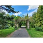 Les photos des utilisateurs Samsung Galaxy A72 Dual SIM