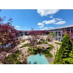 Les photos des utilisateurs Samsung Galaxy A72 Dual SIM