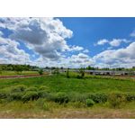 Les photos des utilisateurs Samsung Galaxy A72 Dual SIM