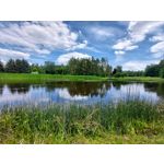 Les photos des utilisateurs Samsung Galaxy A72 Dual SIM