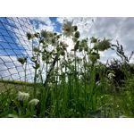 Les photos des utilisateurs Samsung Galaxy A72 Dual SIM