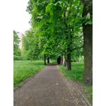 Les photos des utilisateurs Samsung Galaxy A72 Dual SIM