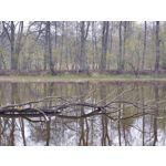 Les photos des utilisateurs Samsung Galaxy A72 Dual SIM