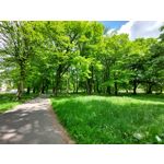 Les photos des utilisateurs Samsung Galaxy A72 Dual SIM