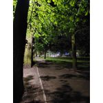 Les photos des utilisateurs Samsung Galaxy A72 Dual SIM