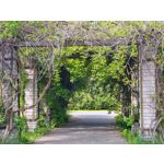 Les photos des utilisateurs Samsung Galaxy A72 Dual SIM