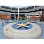 Les photos des utilisateurs Samsung Galaxy A72 Dual SIM