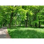 Les photos des utilisateurs Samsung Galaxy A72 Dual SIM