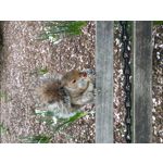 Imágenes de los usuarios Samsung Galaxy A9 Imágenes de los usuarios Samsung Galaxy A9