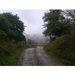 来自这款手机的图片