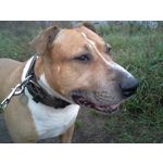 PHOTOS FAITES AVEC CE SMARTPHONE