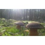 FOTO FATTE CON QUESTO TELEFONO