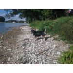 来自这款手机的图片