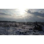 来自这款手机的图片