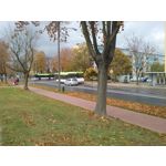 PICTURES FROM THIS PHONE