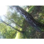 Фотографии пользователя Samsung Galaxy J1 2016