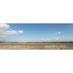 PICTURES FROM THIS PHONE