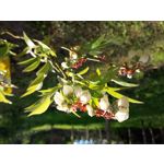 Фотографии пользователя Samsung Galaxy J3 2017 Фотографии пользователя Samsung Galaxy J3 2017