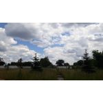 Foto's van de gebruikers Samsung Galaxy J5 Prime Dual SIM