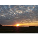 PICTURES FROM THIS PHONE