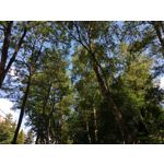 FOTO'S VAN DEZE TELEFOON