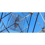 来自这款手机的图片