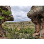 来自这款手机的图片