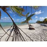 来自这款手机的图片