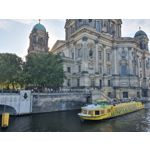 FOTO FATTE CON QUESTO TELEFONO