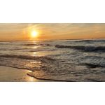 PICTURES FROM THIS PHONE