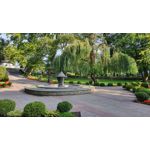 PICTURES FROM THIS PHONE