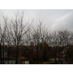 Foto dei utenti Samsung Galaxy Note 3 LTE Foto dei utenti Samsung Galaxy Note 3 LTE