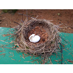 Foto dei utenti Samsung Galaxy Note 3 LTE Foto dei utenti Samsung Galaxy Note 3 LTE