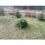 Foto dei utenti Samsung Galaxy Note 3 LTE Foto dei utenti Samsung Galaxy Note 3 LTE