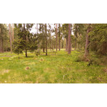 Foto dei utenti Samsung Galaxy Note 3 LTE Foto dei utenti Samsung Galaxy Note 3 LTE