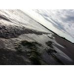 FOTO FATTE CON QUESTO TELEFONO