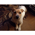 Foto dei utenti Samsung Galaxy Note 3 LTE Foto dei utenti Samsung Galaxy Note 3 LTE