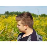 Pictures by this phone Samsung Galaxy Note 8 Dual SIM