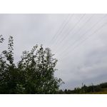 Pictures by this phone Samsung Galaxy Note 8 Dual SIM