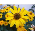 Фотографии пользователя Samsung Galaxy Note 9 Dual SIM
