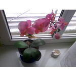 IMAGENS DESTE TELEFONE