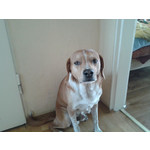 PICTURES FROM THIS PHONE