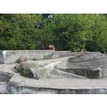 LAS FOTOS HECHAS CON ESTE TELÉFONO