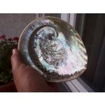 LAS FOTOS HECHAS CON ESTE TELÉFONO