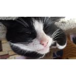 LAS FOTOS HECHAS CON ESTE TELÉFONO