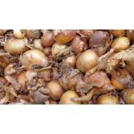 LAS FOTOS HECHAS CON ESTE TELÉFONO