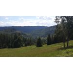 LAS FOTOS HECHAS CON ESTE TELÉFONO