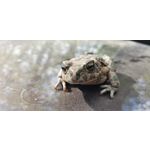 来自这款手机的图片