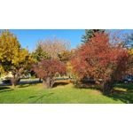 Foto dei utenti Samsung Galaxy S10+ Dual SIM Foto dei utenti Samsung Galaxy S10+ Dual SIM